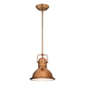 Westinghouse 6308440 - Luster na šipci BOSWELL 1xE27/60W/230V prečnik 22 cm