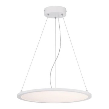 Westinghouse 65751 - LED prigušiva luster na sajli ATLER LED/32W/230V 45 cm