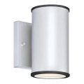 Westinghouse 65807 - LED prigušiva spoljašnja svetiljka MARIUS LED/8W/230V IP44