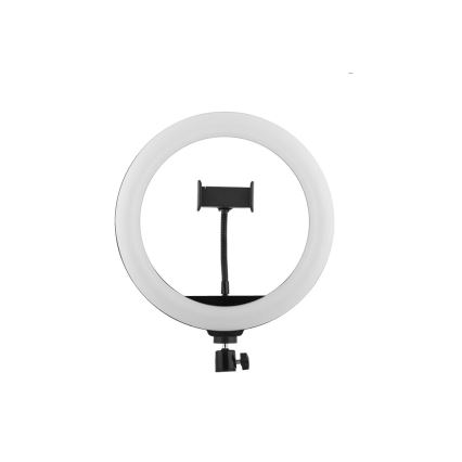 Winner Group - LED prigušiva stona lampa sa stalkom i držačem za vlogovanje LED/10W/5V
