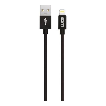 Winner Group - USB kabl Lightning / USB-A 1 m crna