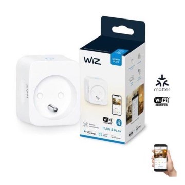 WiZ - Pametna utičnica E 2300W + merač potrošnje Wi-Fi