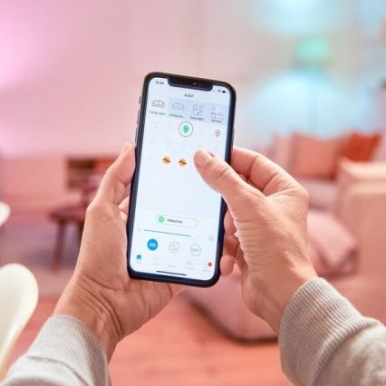 WiZ - Pametna utičnica E 2300W + merač potrošnje Wi-Fi