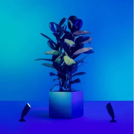 WiZ - KOMPLET 2x LED RGBW prigušiva spoljašnja SPOT LED/10W/230V 2700-5000K IP65 Wi-Fi