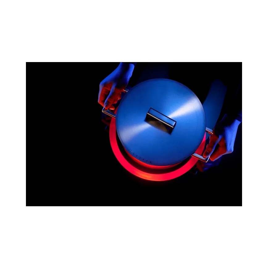 WMF - Lonac ULTIMATE COOL prečnik 20 cm