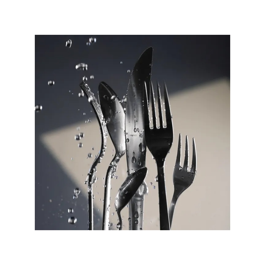 WMF - Set pribora od nerđajućeg čelika FÄCHER, 66 delova