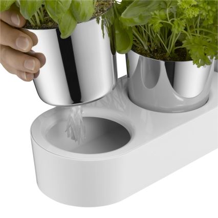 WMF - Set od 3 samozalivajuće saksije GOURMET za začinsko bilje, bela/nerđajući čelik