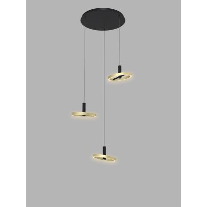 Wofi 5016-304 - LED prigušiva luster na sajli BREST LED/26W/230V crna/zlatna