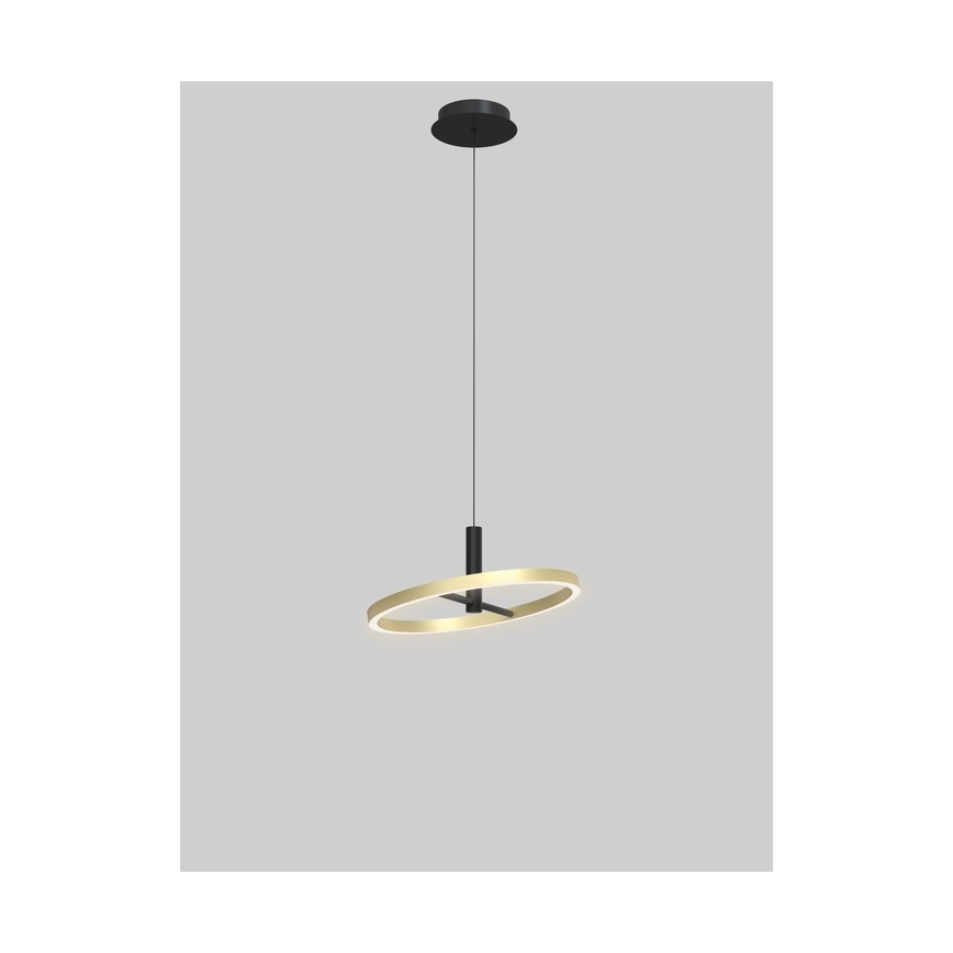 Wofi 6016-104L - LED prigušiva luster na sajli BREST LED/19W/230V prečnik 42 cm crna/zlatna