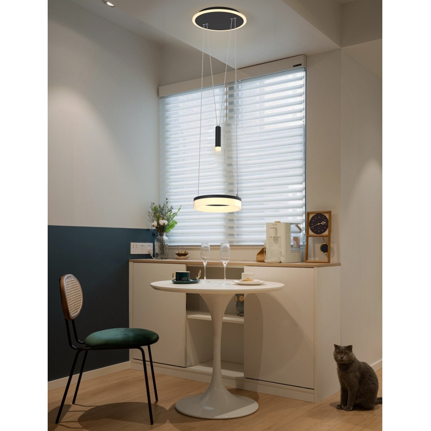 Wofi 6054-302 - LED prigušiva luster na sajli JESSE LED/15,5W/230V crna