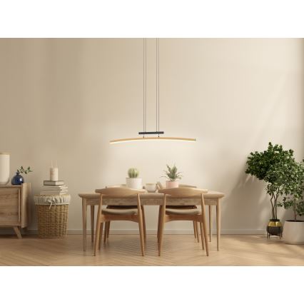 Wofi 7020-106 - LED prigušiva luster na sajli BOLOGNA LED/27W/230V