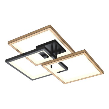 Wofi 9022-306S - LED prigušiva stropna svetiljka MATERA LED/40W/230V