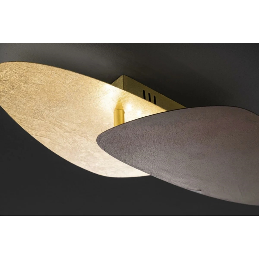 Wofi 9551.02.15.9420 - LED stropno svetlo BELANA LED/12,5W/230V 3000K zlatno