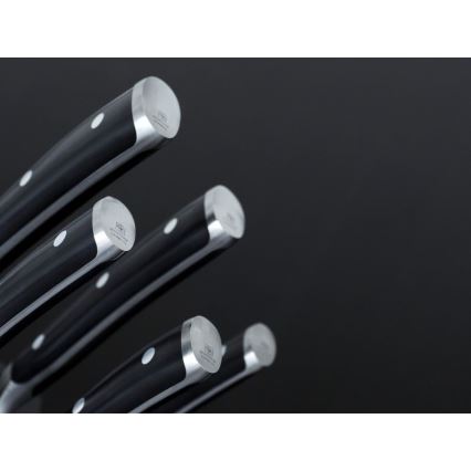 Wüsthof - CLASSIC IKON set kuhinjskih noževa u stalku, 7 kom, jasen/crna