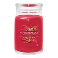 Yankee Candle - Mirisna sveća SPARKLING CINNAMON, velika, 567 g, 60–90 sati