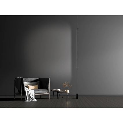 Zambelis 20184 - LED Stojeća lampa LED/22W/230V