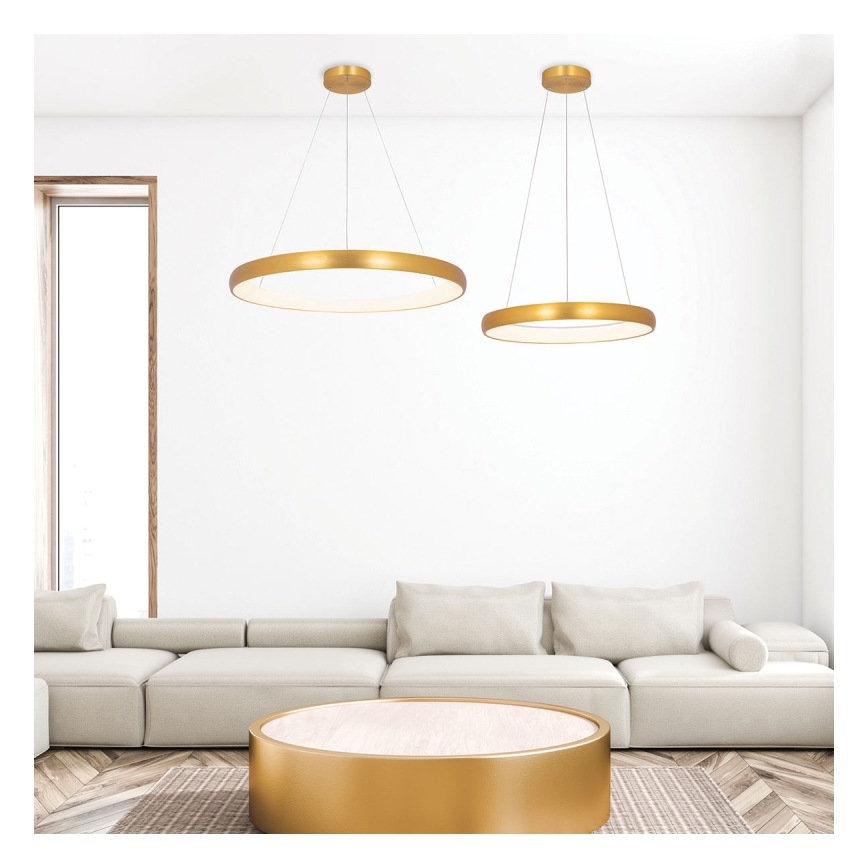 Zambelis 2046 - LED prigušiva viseća lampa na sajli LED/30W/230V prečnik 40 cm zlatna