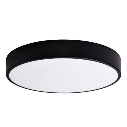 Zamensko staklo CLEO 60 cm