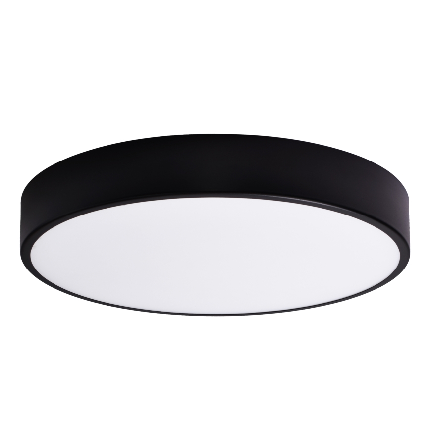 Zamensko staklo CLEO 60 cm
