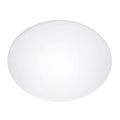 Zamensko staklo za plafonsku lampu Steinel 738013 E27