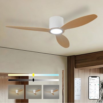 ZEVENTI - LED prigušiva plafonski ventilator VENTORA LED/24W/230V 3000/4000/6000K Wi-Fi Tuya bela/hrast + daljinski upravljač
