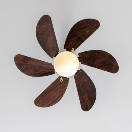 ZEVENTI - Plafonski ventilator FAMARA 1xE14/60W/230V