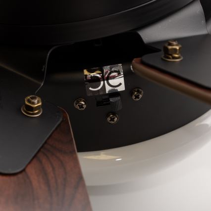 ZEVENTI - Plafonski ventilator FAMARA 1xE14/60W/230V