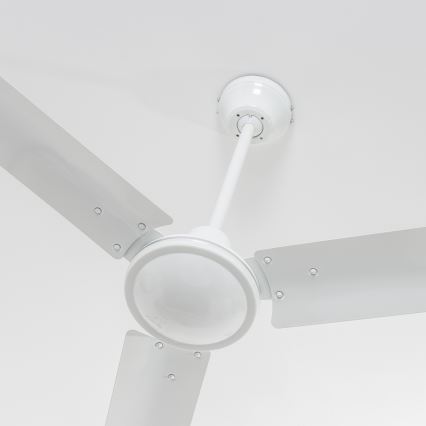 ZEVENTI - Plafonski ventilator TOFINO, beo