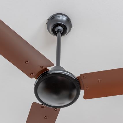 ZEVENTI - Plafonski ventilator TOFINO braon