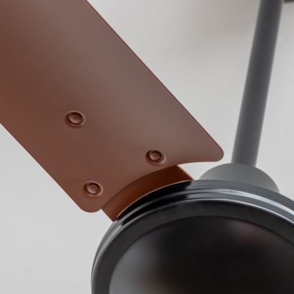 ZEVENTI - Plafonski ventilator TOFINO braon