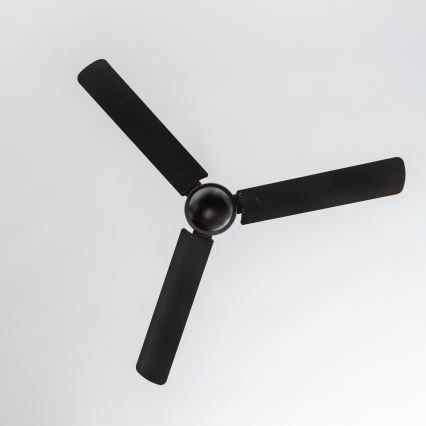 ZEVENTI - Plafonski ventilator TOFINO crni