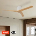 ZEVENTI - Plafonski ventilator VELLON Wi-Fi Tuya bela/paulovnija + daljinski upravljač