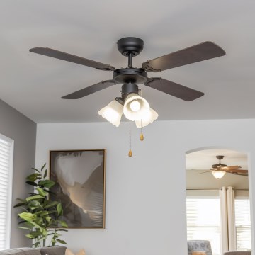 ZEVENTI - Plafonski ventilator ZURRIOLA 3xE27/60W/230V braon