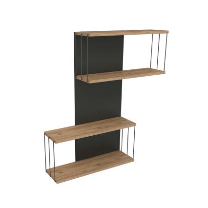 Zidna polica DESTAN 65x96x19 cm antracit/braon