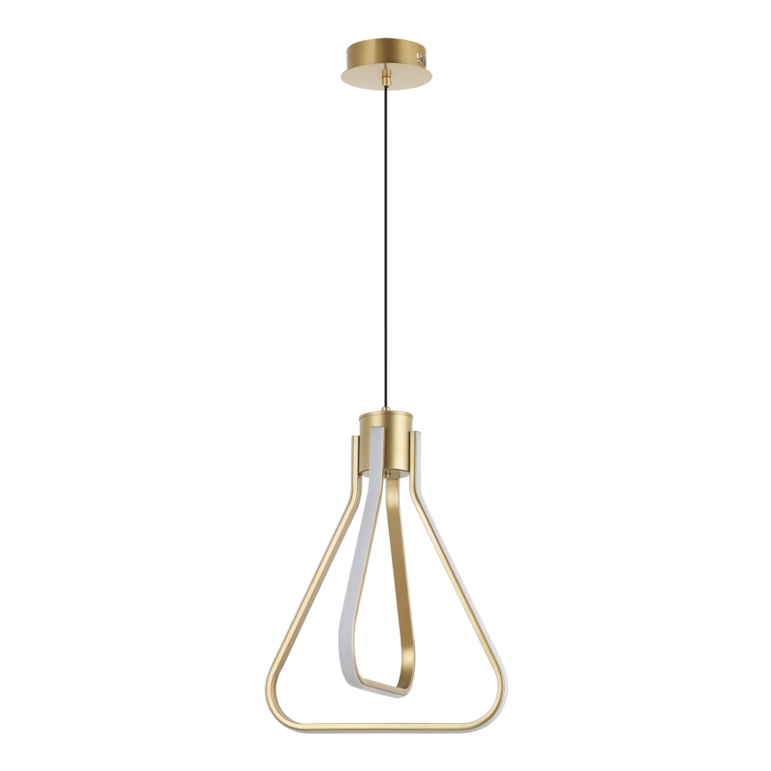 ZING LED luster na sajli 19W/230V zlatna