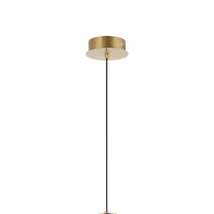 ZING LED luster na sajli 19W/230V zlatna