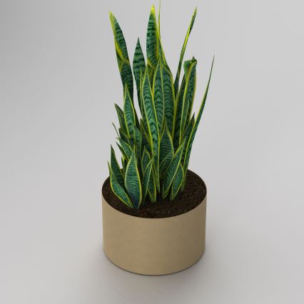 Zlatna saksija 11x17 cm