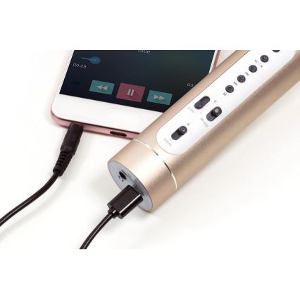 Zlatni karaoke mikrofon 6W/5V 1500 mAh Bluetooth