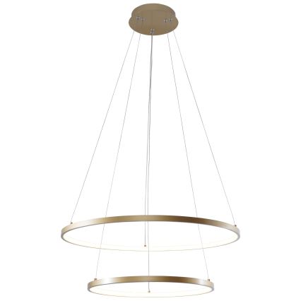 Zuma Line - LED luster na sajli LED/50W/230V 3000/4000/6000K prečnik 60 cm zlatna