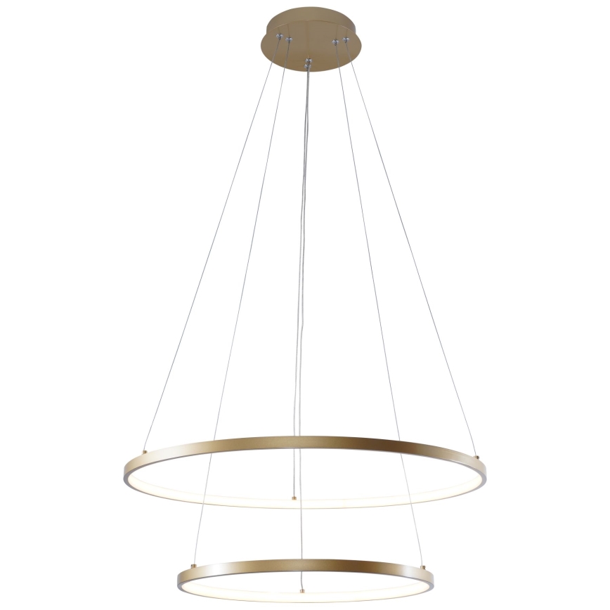 Zuma Line - LED luster na sajli LED/50W/230V 3000/4000/6000K prečnik 60 cm zlatna