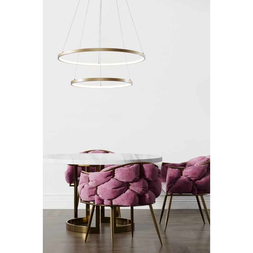 Zuma Line - LED luster na sajli LED/50W/230V 3000/4000/6000K prečnik 60 cm zlatna