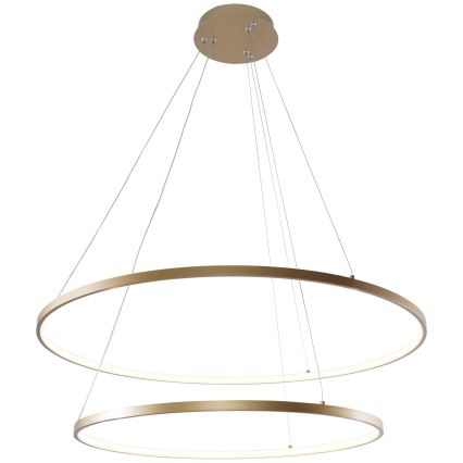 Zuma Line - LED luster na sajli LED/60W/230V 3000/4000/6000K prečnika 80 cm zlatna