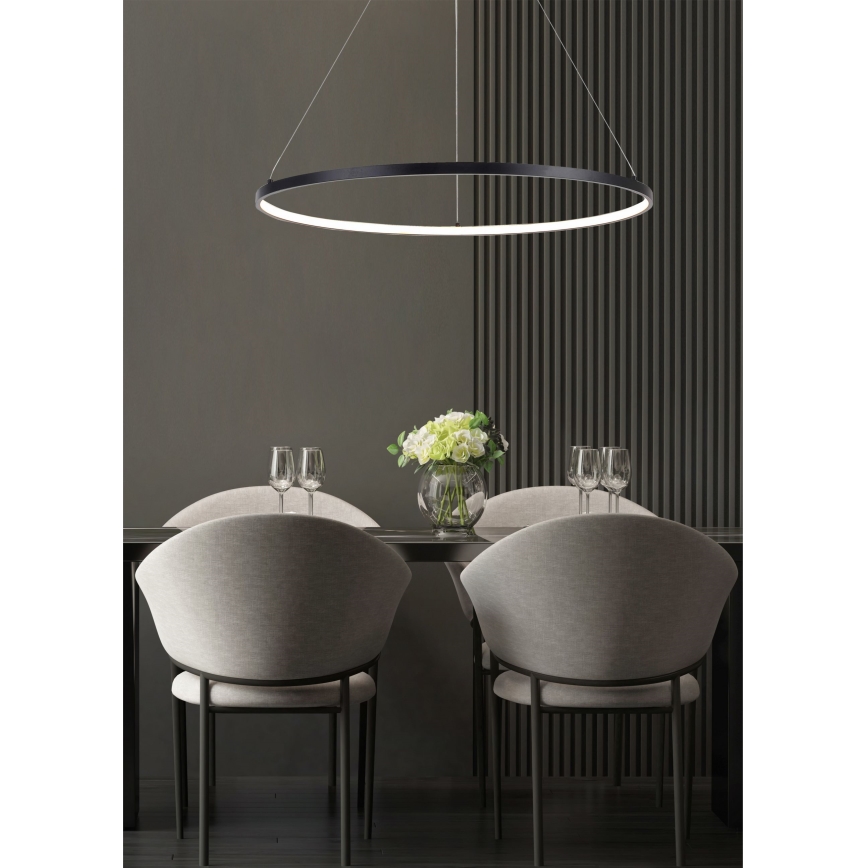 Zuma Line - LED luster na sajli LED/28W/230V 3000/4000/6000K, prečnik 60 cm, crna