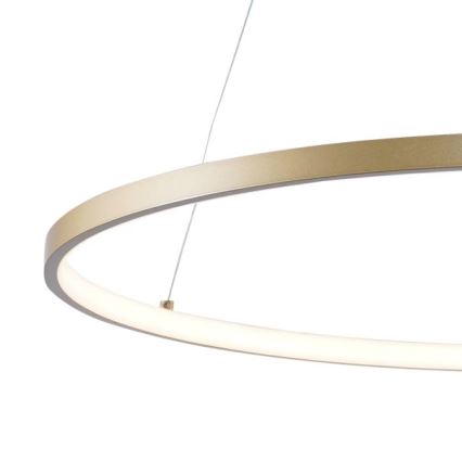 Zuma Line - LED luster na sajli LED/28W/230V 3000/4000/6000K prečnika 60 cm zlatna