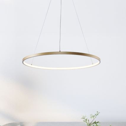 Zuma Line - LED luster na sajli LED/36W/230V 3000/4000/6000K, prečnik 80 cm, u zlatnoj boji