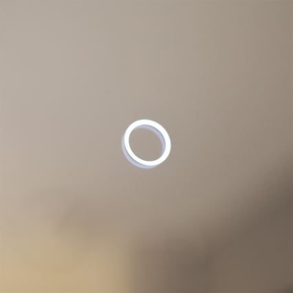 Zuma Line - LED zidno ogledalo za kupatilo sa LED pozadinskim osvetljenjem/24W/230V 3000/4000/6000K prečnik 60 cm IP44