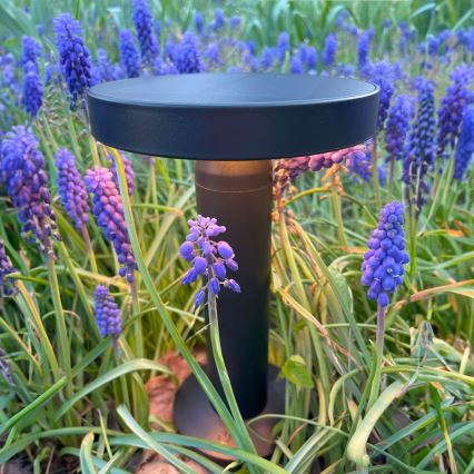 Zuma Line - LED prigušiva solarna punjiva stona lampa LED/2W/2000 mAh IP44 crna