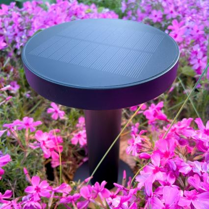 Zuma Line - LED prigušiva solarna punjiva stona lampa LED/2W/2000 mAh IP44 crna