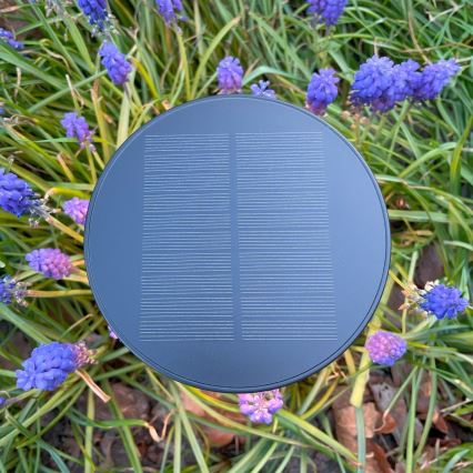 Zuma Line - LED prigušiva solarna punjiva stona lampa LED/2W/2000 mAh IP44 crna