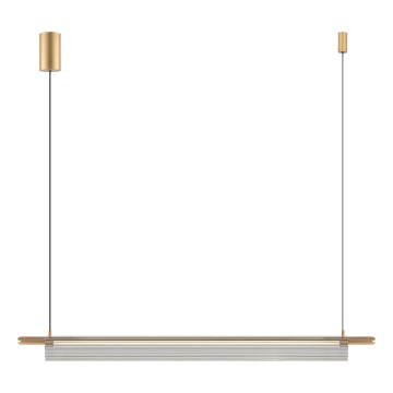 Zuma Line - LED luster na sajli LED/14W/230V zlatna